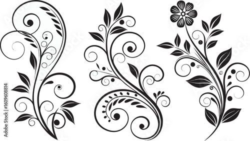 Ornamental design elements - a collection of ornate black and white floral vector elements. Each design should feature intricate swirls, curls, and botanical motifs such as leaves, vines, petals, and 