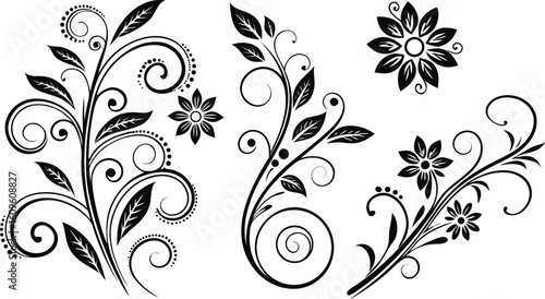 Ornamental design elements - a collection of ornate black and white floral vector elements. Each design should feature intricate swirls, curls, and botanical motifs such as leaves, vines, petals, and 