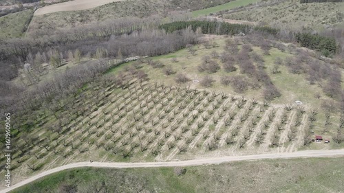 Drone video of almond orchards near the town of Hustopeče, Moravia, Czech Republic. Aerial view of spring nature, almond orchards and lookout tower.