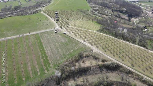 Drone video of almond orchards near the town of Hustopeče, Moravia, Czech Republic. Aerial view of spring nature, almond orchards and lookout tower.