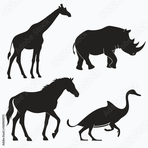 Giraffe Rhino Horse Bird Silhouettes vector