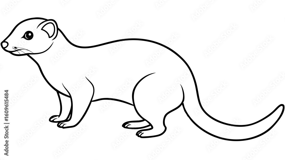 Fototapeta premium Mongoose Vector Art Illustration of Standing Wildlife Mammal