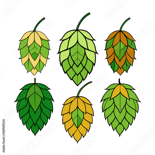 Six stylized hop cones in various shades of green yellow and brown arranged on a white background showcasing the plant used in beer brewing and