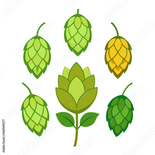 Stylized Hop Cones Illustration A Collection of Green and Yellow Hop Elements Arranged in a Circular Pattern with a Central Hop Flower on a White