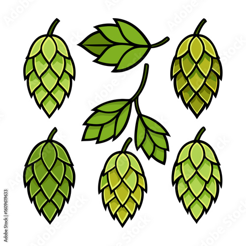 Illustration of Hops and Leaves for Brewing Beer Featuring Green Hops Cones and Leaves with Black Outlines Isolated on a White Background Suitable for Craft