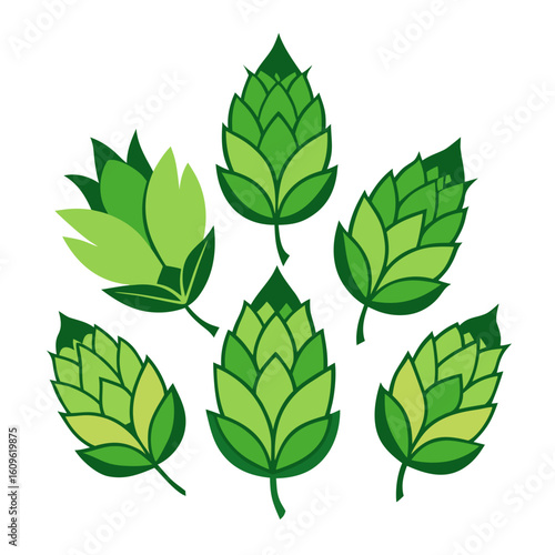 Stylized Hop Cones Arrangement A Collection of Green Hops for Brewing Representing Craft Beer Ingredients and Agricultural Harvest Ideal for Brewery Branding and Design Projects