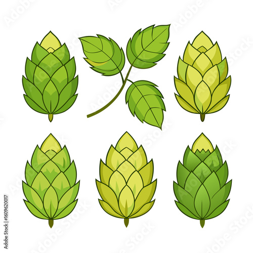 Stylized Hop Plant Illustration A Collection of Green and Yellow Hops and Leaves Ideal for Brewing Agriculture or Natural Ingredient Designs on a White Background