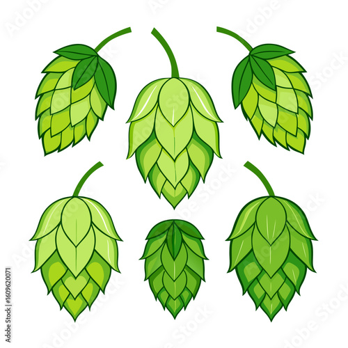 A collection of six stylized hop cones in varying shades of green each with a dark green outline arranged on a white background perfect for