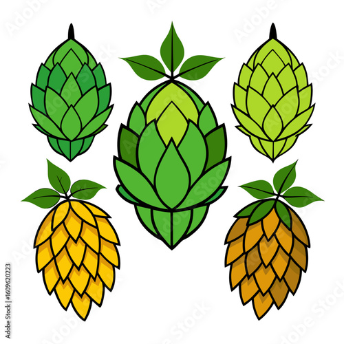 Colorful Hop Flower Illustration A collection of five hop flowers in various stages of ripeness rendered in a cartoon style with vibrant greens and yellows