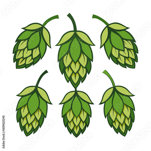 Stylized Green Hops Illustration A Collection of Six Hop Cones with Varying Shades of Green and a Dark Outline Isolated on a White Background Perfect
