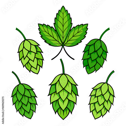 Cartoon Illustration of Hops and Hop Leaf Perfect for Brewing Agriculture or Botanical Designs with Fresh Green Colors and Bold Outlines on a Clean White
