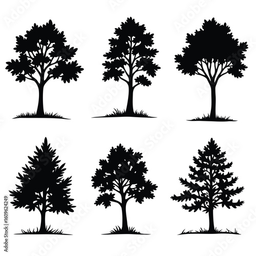 Diverse deciduous and coniferous tree silhouettes foliage