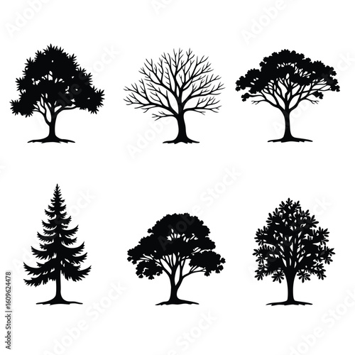 Diverse Tree Silhouettes Against White Background trees deciduous