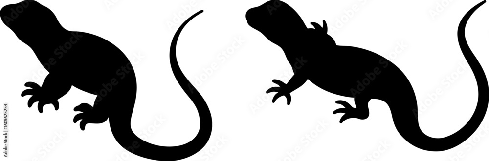 Fototapeta premium Black lizard animal set, a set of lizards, lizards collection, Vector of lizard animal, lizard silhouette, black lizard isolated on white background