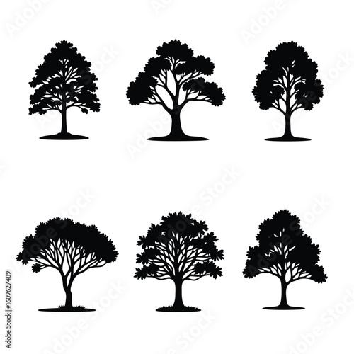 Six black tree silhouettes with detailed branches and foliage white background nature