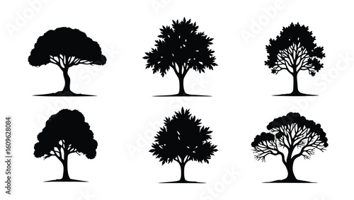 Six black tree silhouettes with detailed branches and foliage white nature