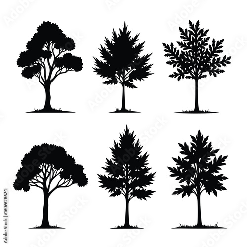 Six black tree silhouettes with detailed foliage and trunks trees white background