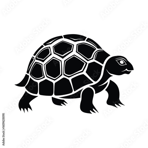 Indian star tortoise silhouette vector graphic of a reptile animal isolated on white background