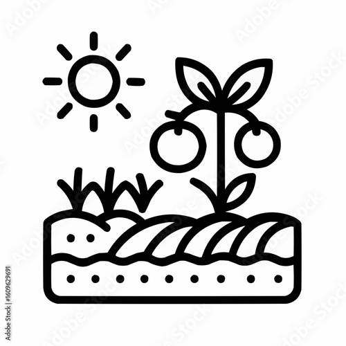 Garden with tomato plant and sun in simple line art style  