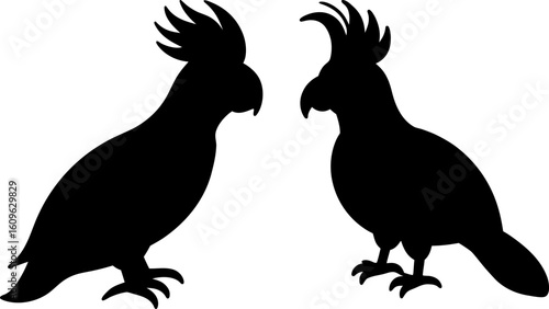 Black cockatoo animal set, a set of cockatoo standing, cockatoo collection, Vector of cockatoo animal, cockatoo silhouette, black cockatoo isolated on white background