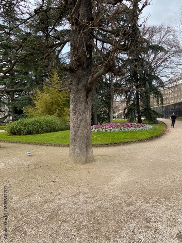 Park and garden, jardin du Palais du Luxembourg . PARIS FRANCE