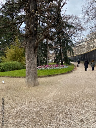 Park and garden, jardin du Palais du Luxembourg . PARIS FRANCE