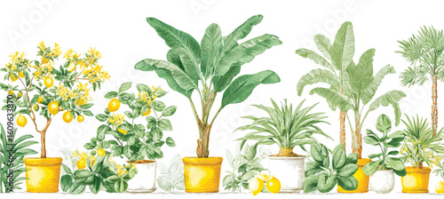 A vibrant collection of potted plants featuring lemon trees and lush greenery in hand painted watercolor style showcasing a variety of tropical foliage