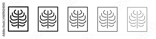 X ray icon. Thin line icons collection for web ui.
