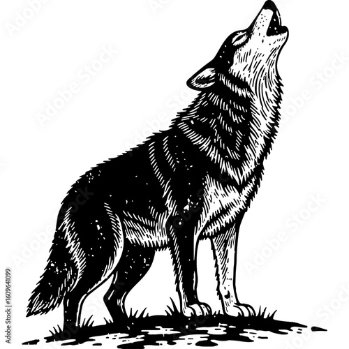 Howling wolf in a vintage woodcut style, a powerful and majestic animal illustration in black and white, depicting wilderness and freedom.