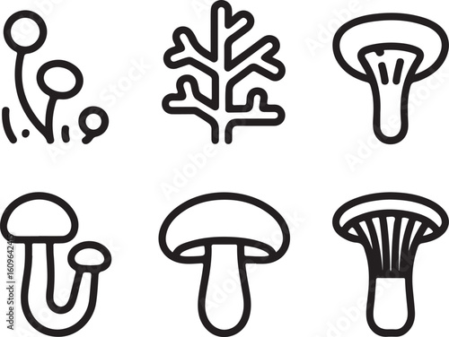 PrintMushroom Lifecycle Outline Icons Spore Mycelium, Primordium, Fruiting Body and Gills