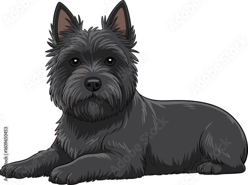 Cute cartoon black terrier dog, small breed pet illustration, adorable canine lying down, friendly companion animal vector, isolated on white background