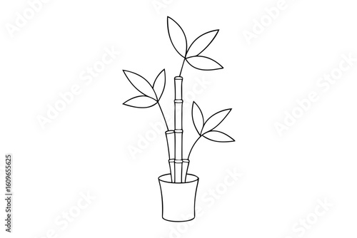 Festive Lucky Bamboo Illustration in Delicate Line Drawing