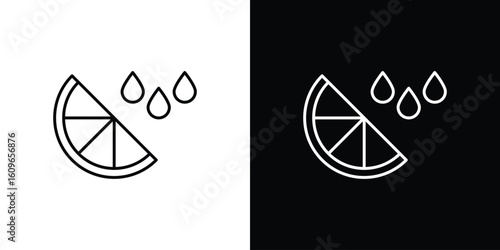Citrus slice icon design vector art Illustrations