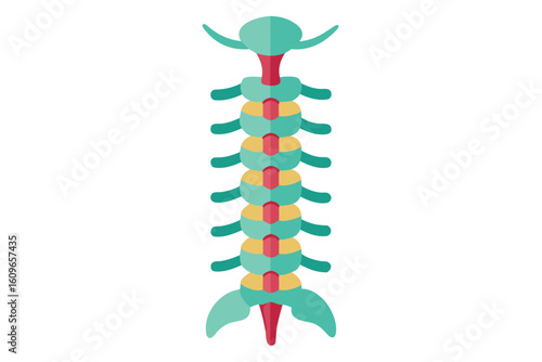 Human Spine Illustration Featuring Teal Vertebrae and Red Intervertebral Discs in Stylized Flat Design Anatomy Depiction