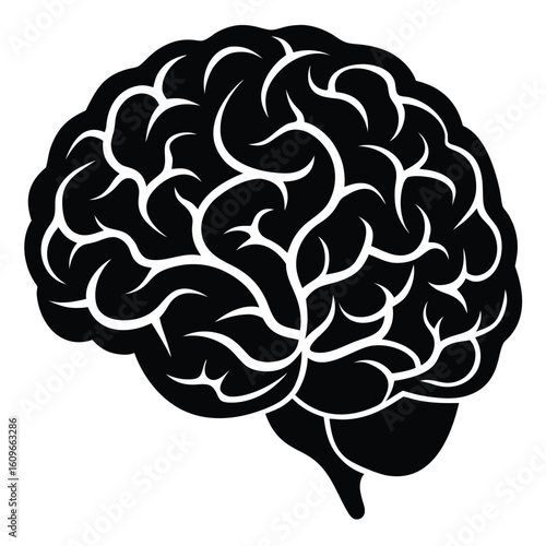 Monochrome Human Brain Illustration Cerebral Organ Anatomy Concept Neural Network Intelligence Mental Health Cognitive Function Mind Neurology