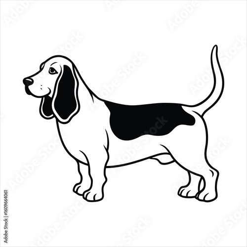 Stylized black and white basset hound dog illustration