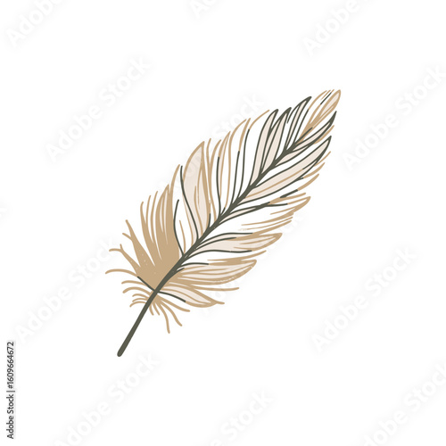 Elegant illustration of a delicate feather showcasing intricate details and natural beauty
