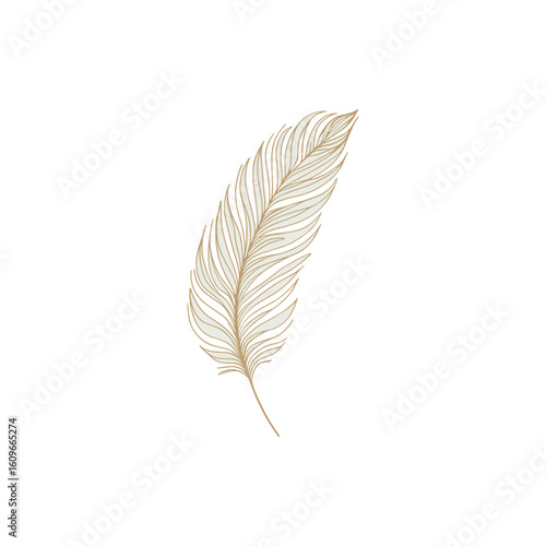 Elegant golden feather illustration on a white background, symbolizing lightness and nature