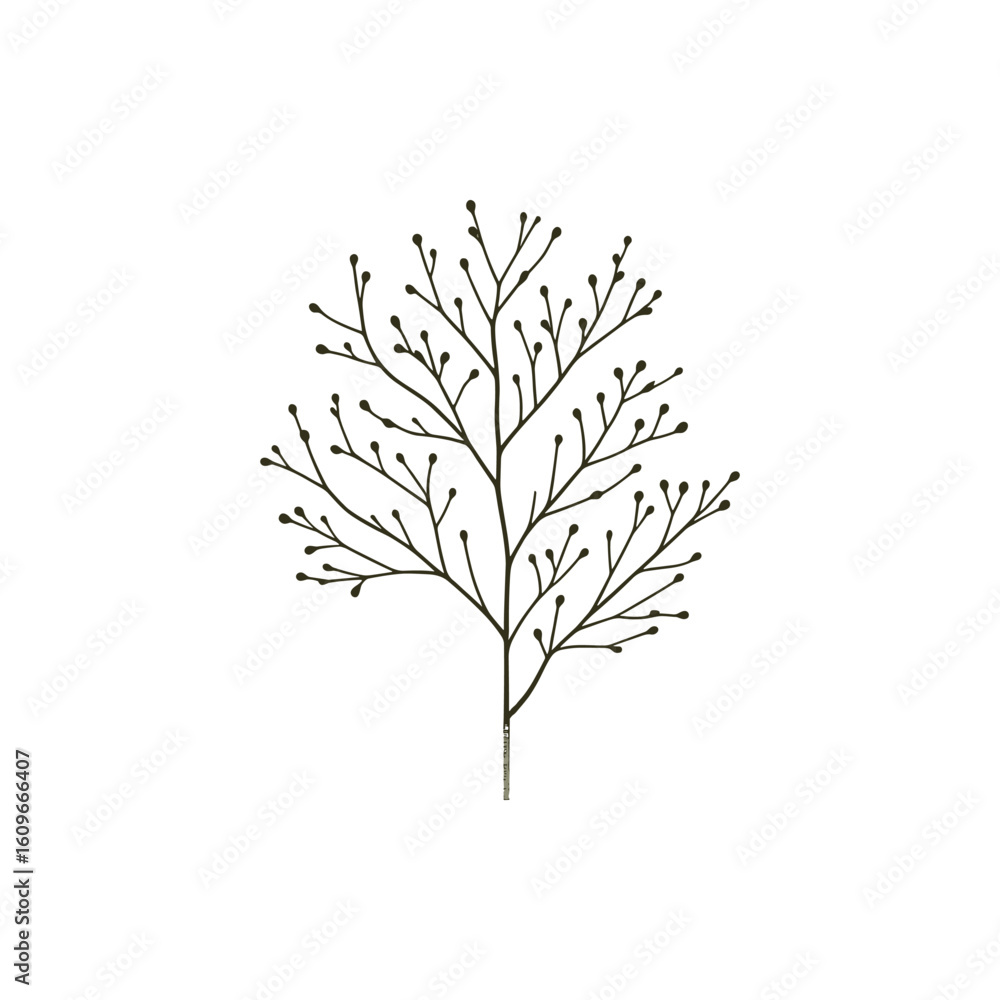 Fototapeta premium Detailed illustration of a botanical branch with buds against a clean white background