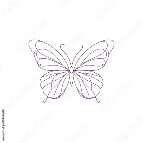 Intricate line drawing of a butterfly showcasing delicate wings in a minimalistic style