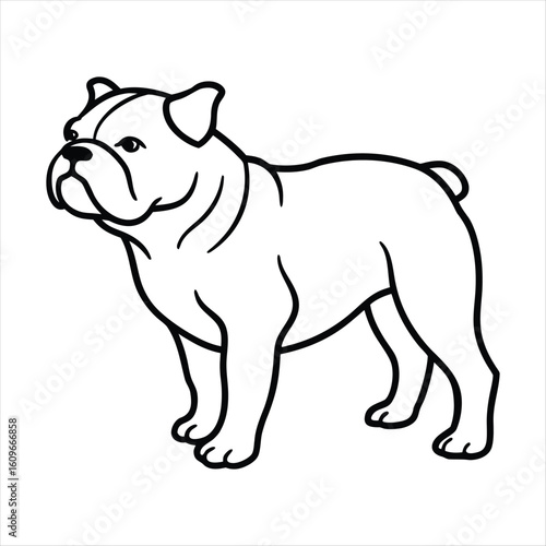 Stylized line drawing of a standing english bulldog