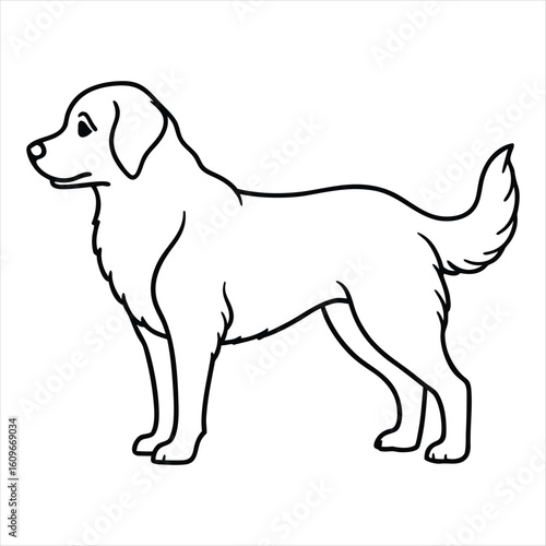 Simple line drawing of a golden retriever dog standing