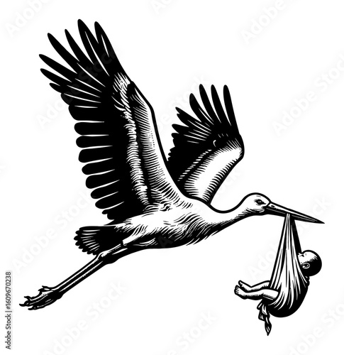 Stork Carrying Newborn Baby in Flight Black and White Outline Line Art Drawing Vintage Illustration