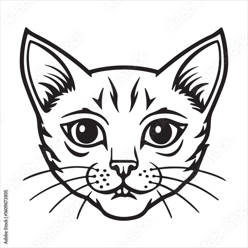 Neva Masquerade Cat: Striking, Expressive, Devoted Beauty