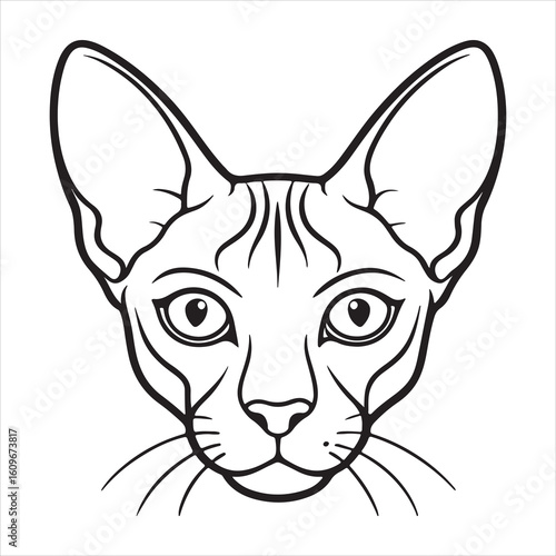 Peterbald Cat: Striking, Devoted, Lively Personality