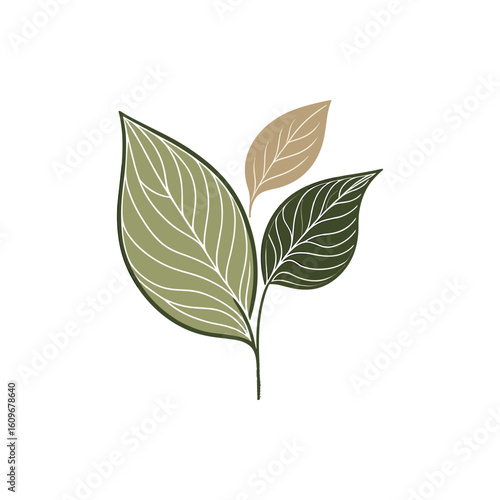 A close-up illustration of three stylized leaves in varying shades of green and beige, symbolizing nature