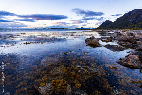 Autumn landscape in Lofoten Islands, Northern Norway, featuring colorful foliage, and a peaceful fjord.