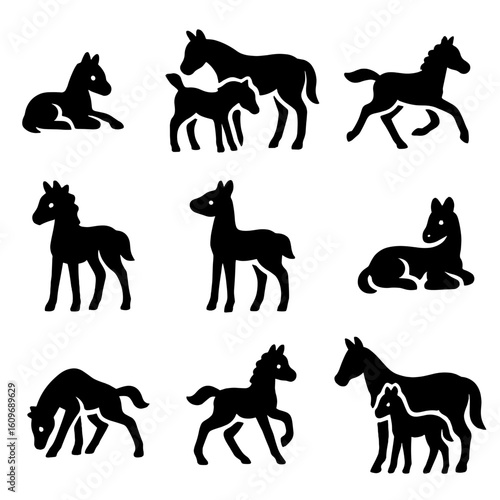 Foal Icons Collection. Solid style icons of foals and young horses: newborn foal, foal nursing, foal running, laying foal, curious