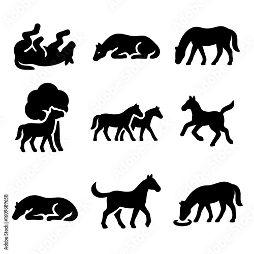 Horse Pasture Icons. Solid style icons of horse pasture behavior: horse rolling, napping in sun, grazing, scratching on tree, herd