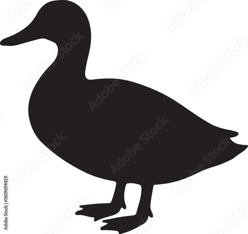 Duck Waterfowl Bird Silhouette Vector Illustration - Black Outline